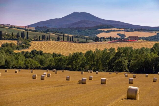 Monte-Amiata